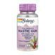 Mastic Gum Extract 500mg - 45 vcaps 30232 фото 1