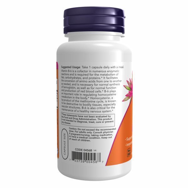 B-6 100mg - 250 vcaps 25682 фото