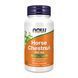 Horse Chestnut 300mg - 90 vcaps 27513 фото 1
