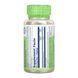 Astragalus Root 400mg - 100 vcaps 31906 фото 2