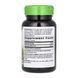 Vitex (Fruit) - 100 vcaps 23630 фото 2