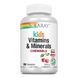 Kids Vitamins & Minerals - 120 chewables Black Cherry 26119 фото 1