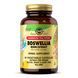 SFP Boswellia Resin Extract - 60 vcaps 25853 фото 1