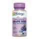Grape Seed Extract 100mg - 60 vcaps 27744 фото 1