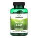 Senna Leaf 500mg - 100 сaps 29255 фото 1