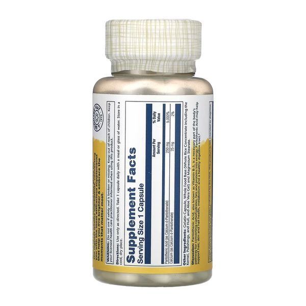 Pantothenic Acid 250mg - 100 caps 31937 фото