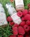 Энзимная регенерирующая сыворотка с АНА-кислотами RENEWING ENZYM AHA SERUM DERMA SERIES 30 мл DS 011 фото 6
