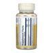 Pantothenic Acid 250mg - 100 caps 31937 фото 2