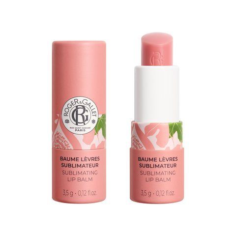 Роже і Галле Бальзам для губ Квітка Інжиру Roger & Gallet Fleur de Figuier 3.5 г 2822335294 фото