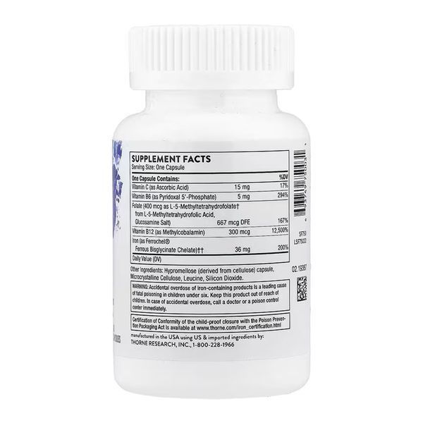 Advanced Iron Complex - 60 caps 27801 фото