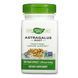 Astragalus Root - 100 vcaps 26019 фото 1